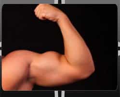 Biceps Augmentation