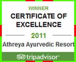 2011 Excellence Award