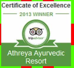 2013 Winner Certificate of Excellence