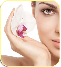 Cosmetic Surgery Package Integra Mexico