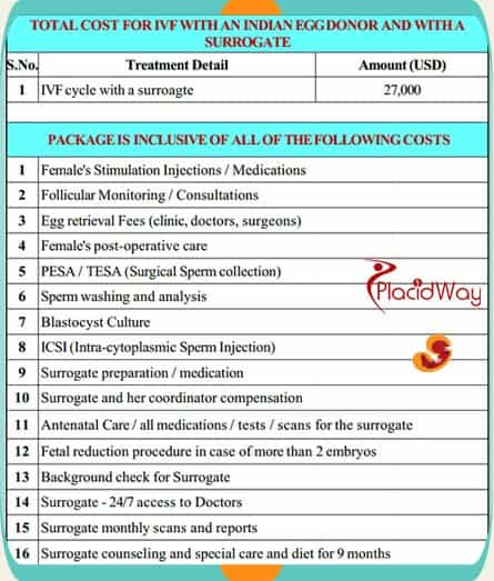 Cost of IVF cycyle with surrogate