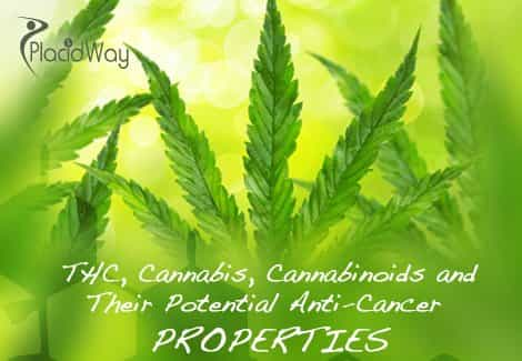  THC, Cannabis, Cannabinoids and  Their Potential Anti-Cancer  PROPERTIES