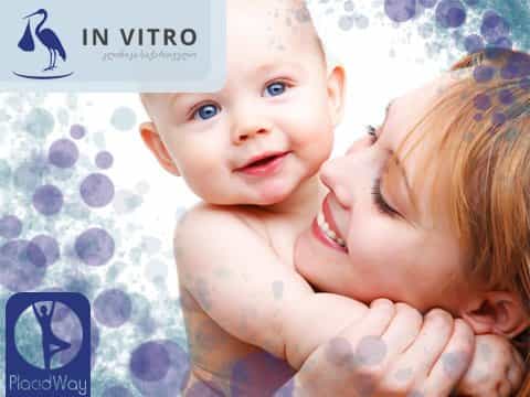 In Vitro Fertility Clinic  - Egg Donation Program