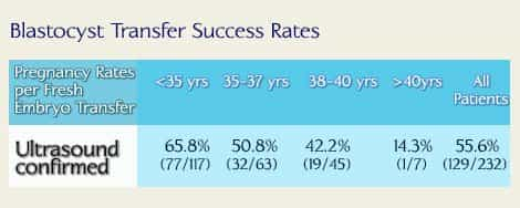 Bastocyst Transfer Success Rates in Georgia Fertility Clinic