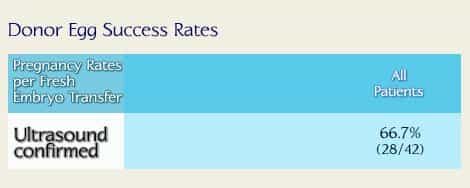 Donor Egg Transfer Success Rates Fertility Clinic Georgia