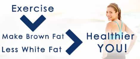 Brown fat vs white fat benefits image