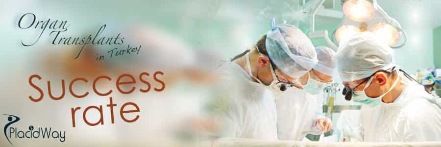 Organ Transplant Success Rate in Turkey - Medical Tourism