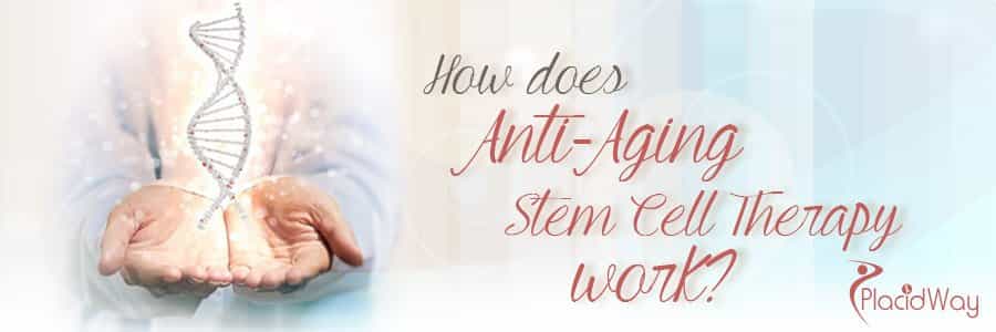 How does Anti Aging Stem Cell Therapy work - Medical Tourism