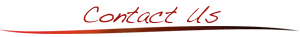 Contact Us Contact Us