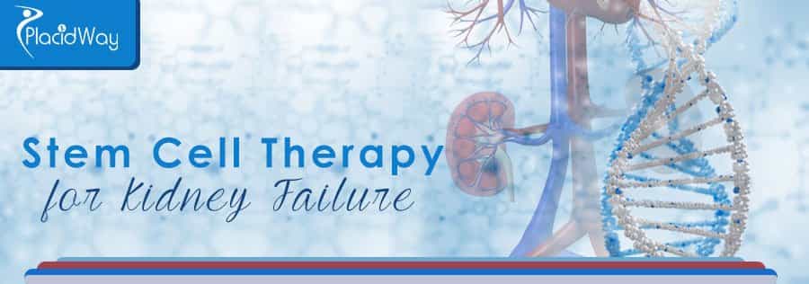 Stem Cell Therapy Kidney Failure