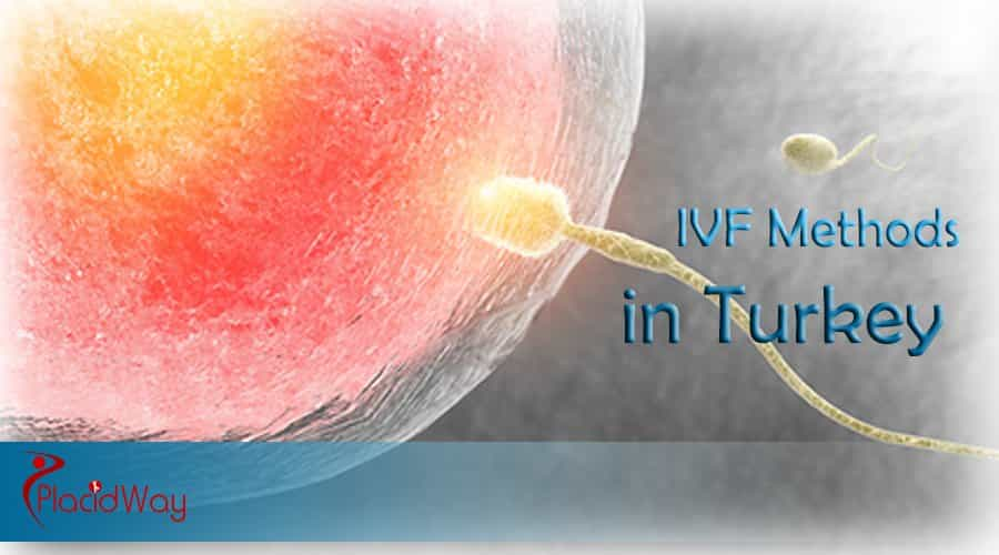 In Vitro Fertilization in Turkey