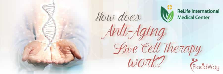 Cell Therapy in China for Anti Aging