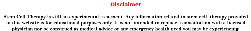 Disclaimer%