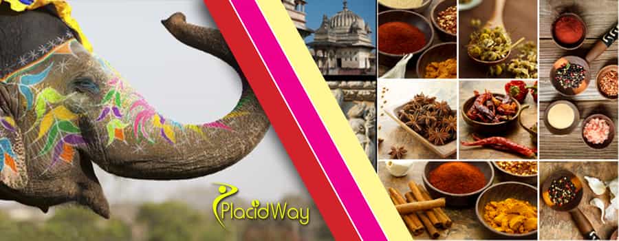 Safety, Cultural, and Tourism Experiences for Medical Travelers in India Safety, Cultural, and Tourism Experiences for Medical Travelers in India