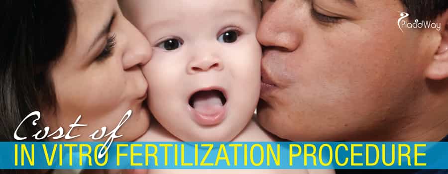 Cost of In Vitro fertilization Procedure