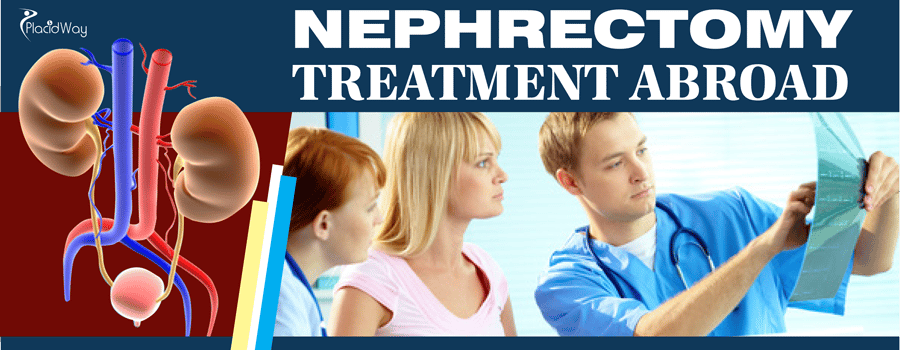Nephrectomy Treatment Abroad