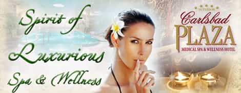 Carlsbad Wellness Spa Medical Clinic Czech Republic