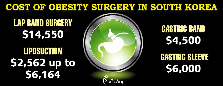 Cost of Obesity Surgery in South Korea