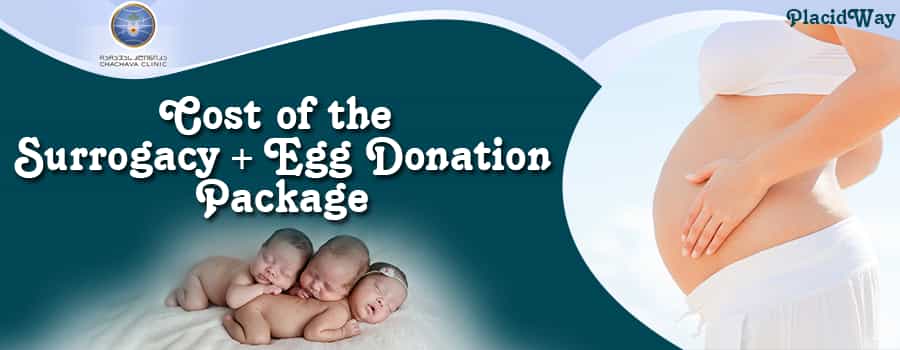 Cost of Surrogacy + Egg Donation Package in Chachava Clinic