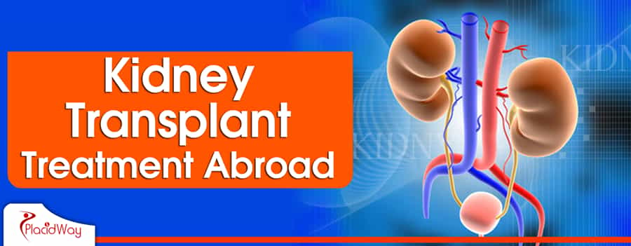 Kidney Transplant Procedure Abroad