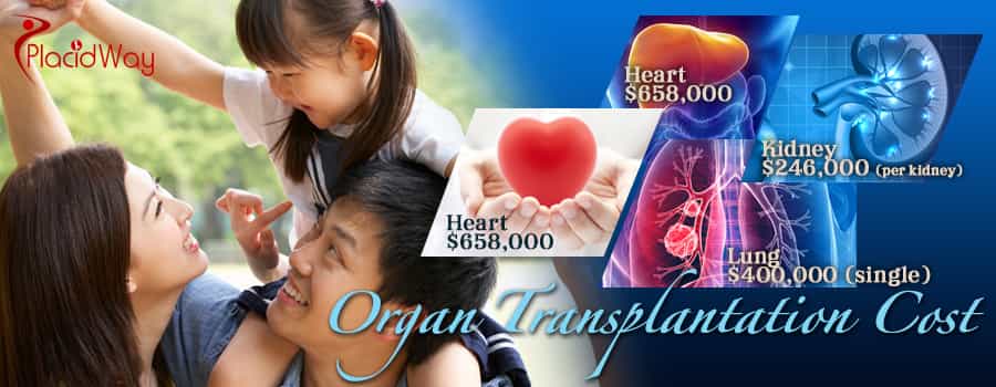 Organ Transplantation Cost Abroad