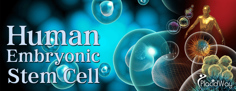 Human Embryonic Stem Cells