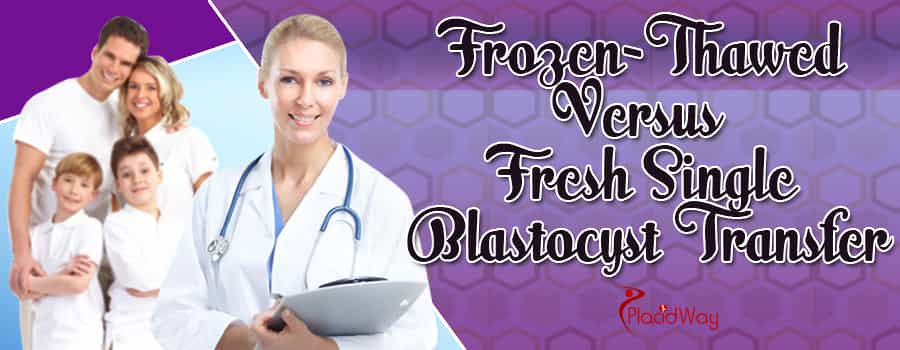 Frozen-Thawed Versus Fresh Single Blastocyst Transfer