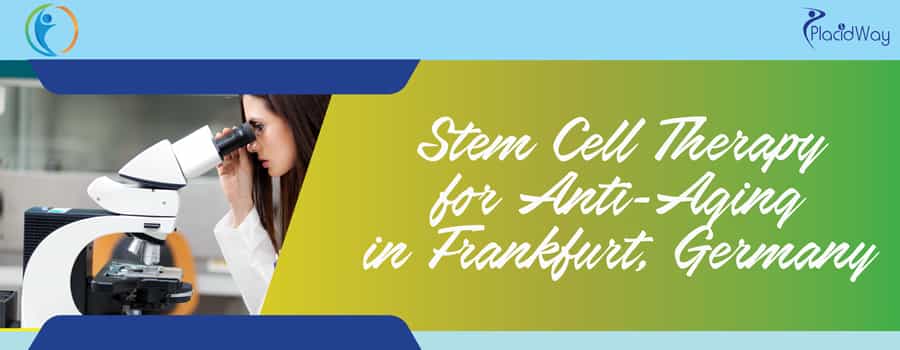 Stem Cell Therapy for Anti Aging