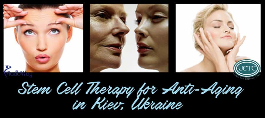 Stem Cell Therapy for Anti Aging