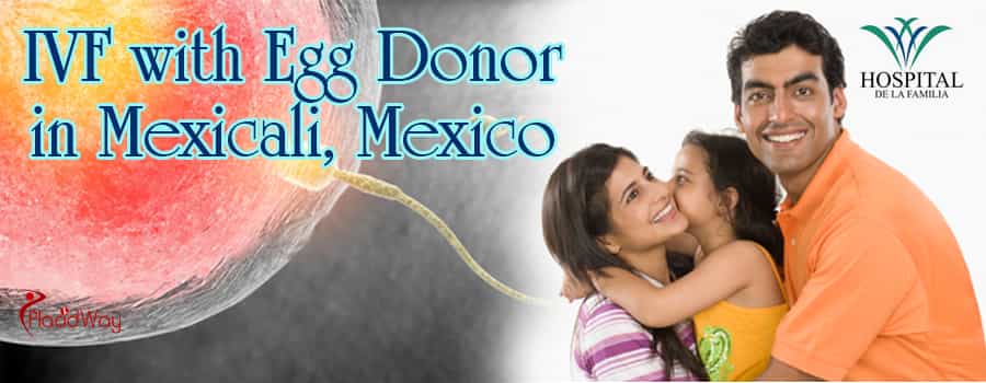 IVF with Egg Donor Package in Mexicali, Mexico
