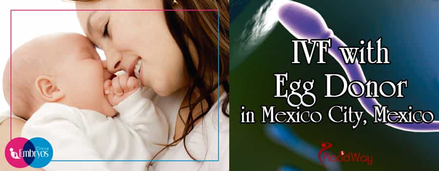 IVF with Egg Donor Treatment Package in Mexico City Mexico