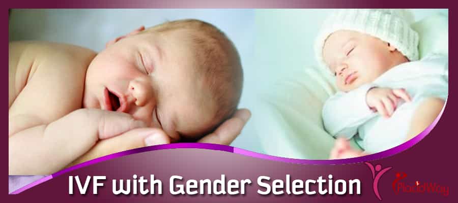 IVF with Gender Selection in Bryn Mawr, United States