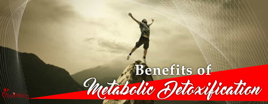 Metabolic Detoxification Costs