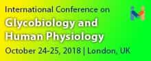 “International Conference on Glycobiology and Human Physiology “International Conference on Glycobiology and Human Physiology