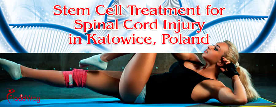 Stem Cell Treatment for Spinal Cord Injury in Katowice, Poland