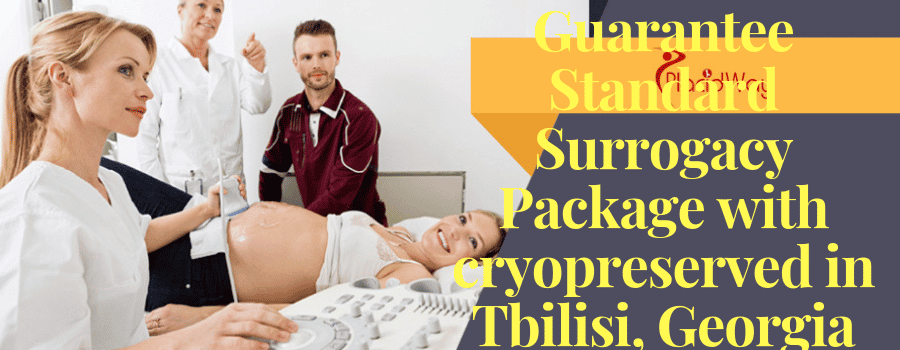 Guarantee Standard Surrogacy Package with cryopreserved in Tbilsi, Georgia Cost