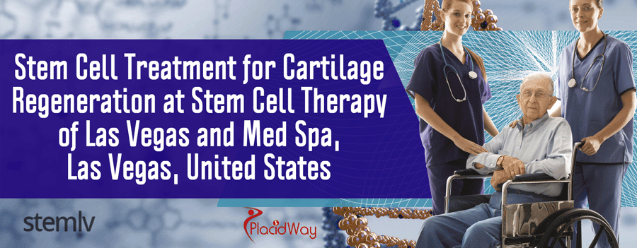 Stem Cell Treatment for Cartilage Regeneration