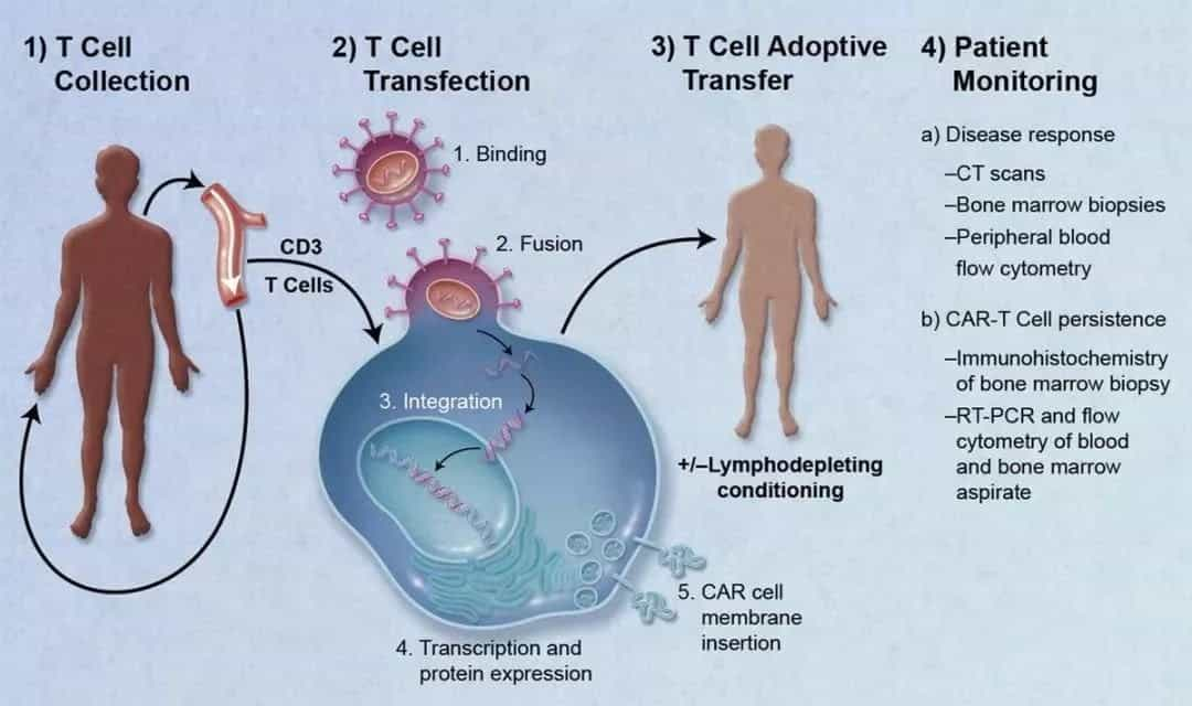 Cancer Treatment