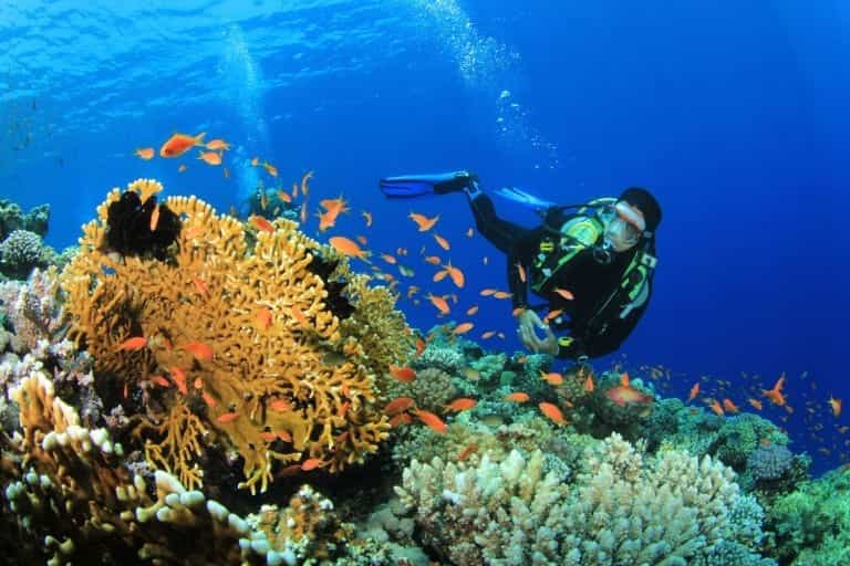 Cozumel