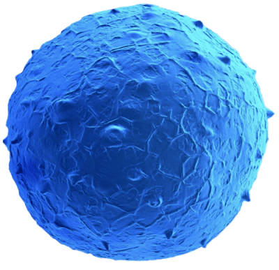 Stem Cell in Las vegas