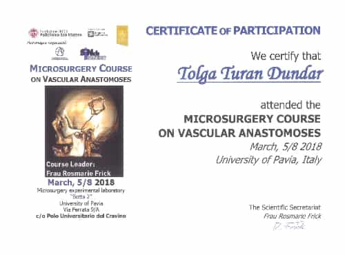 Neurosurgery in Turkey | Assoc. Prof. Dr. Tolga Turan DÜNDAR Certificate