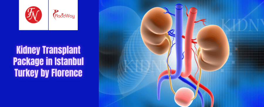 Kidney Transplant Package in Istanbul Turkey by Florence