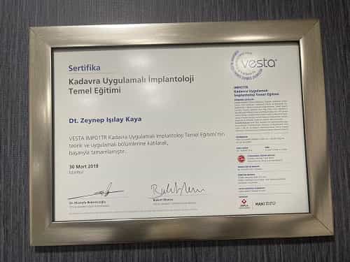 Awards for Dental Treatment in Istanbul, Turkey by Zeynep Isilay Kaya