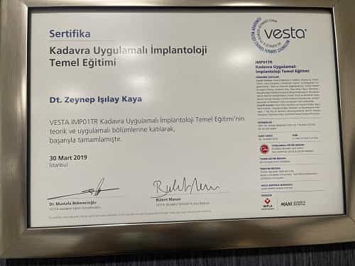 Awards for Dental Treatment in Istanbul, Turkey by Zeynep Isilay Kaya