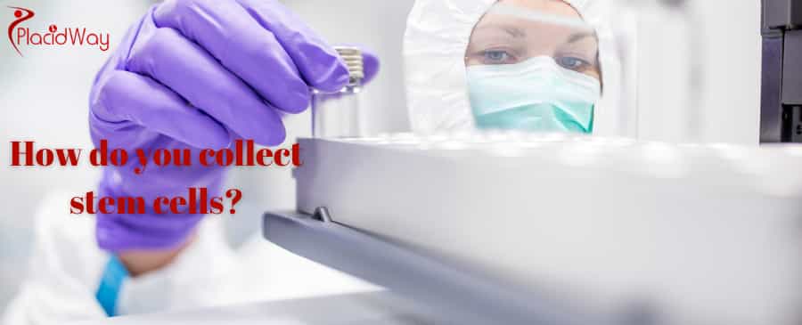 Collect Stem