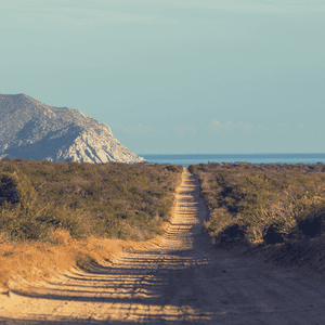 Dental Tourism in Los Algodones, Mexico