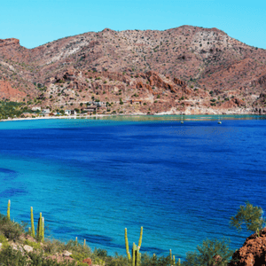 Dental Tourism in Mexico