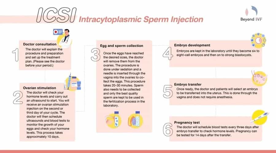 IVF/ICSI Fertility Treatment in Bangkok Thailand