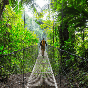 Hiking in Costa Rica Jungle