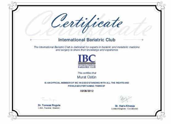 Certificate Received by ICA in Istanbul, Turkey